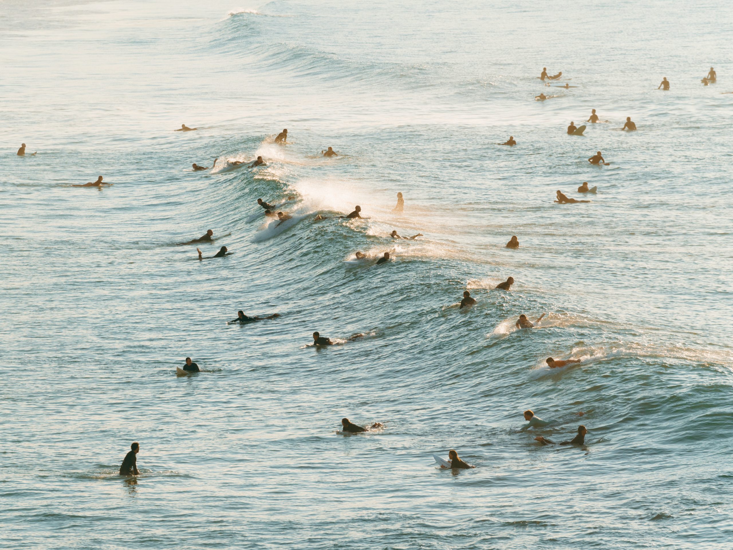 Many surfers and swimmers in waves